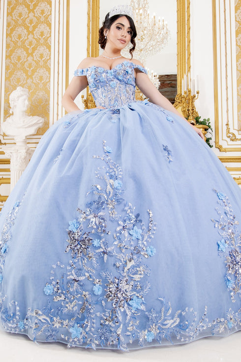 Enchanting Floral Details Quinceañera Ball Gown for Women, Sizes 4/XS-16/3X